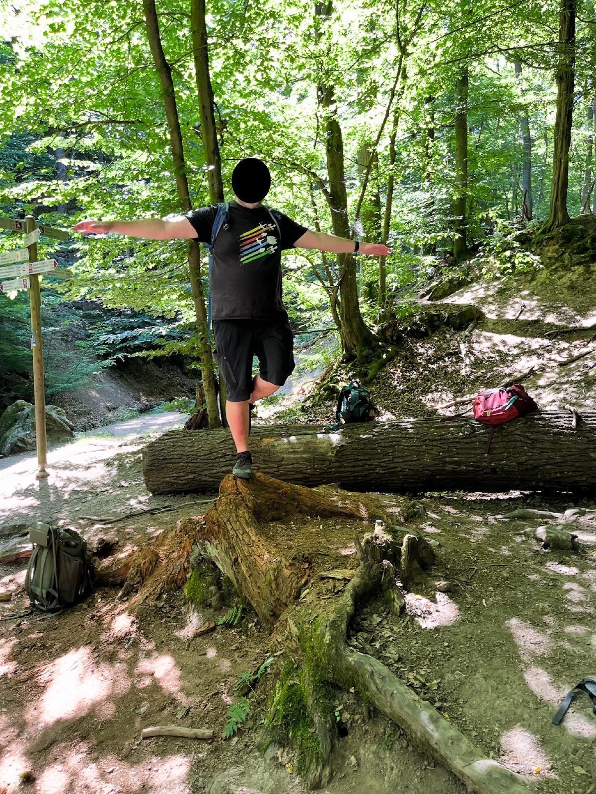 Mann balanciert auf Baumstamm