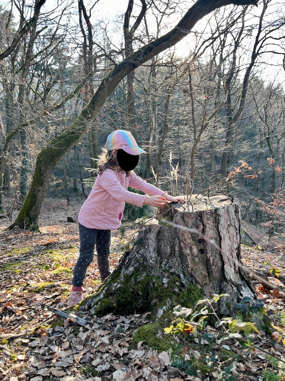 Kind auf Baumstumpf