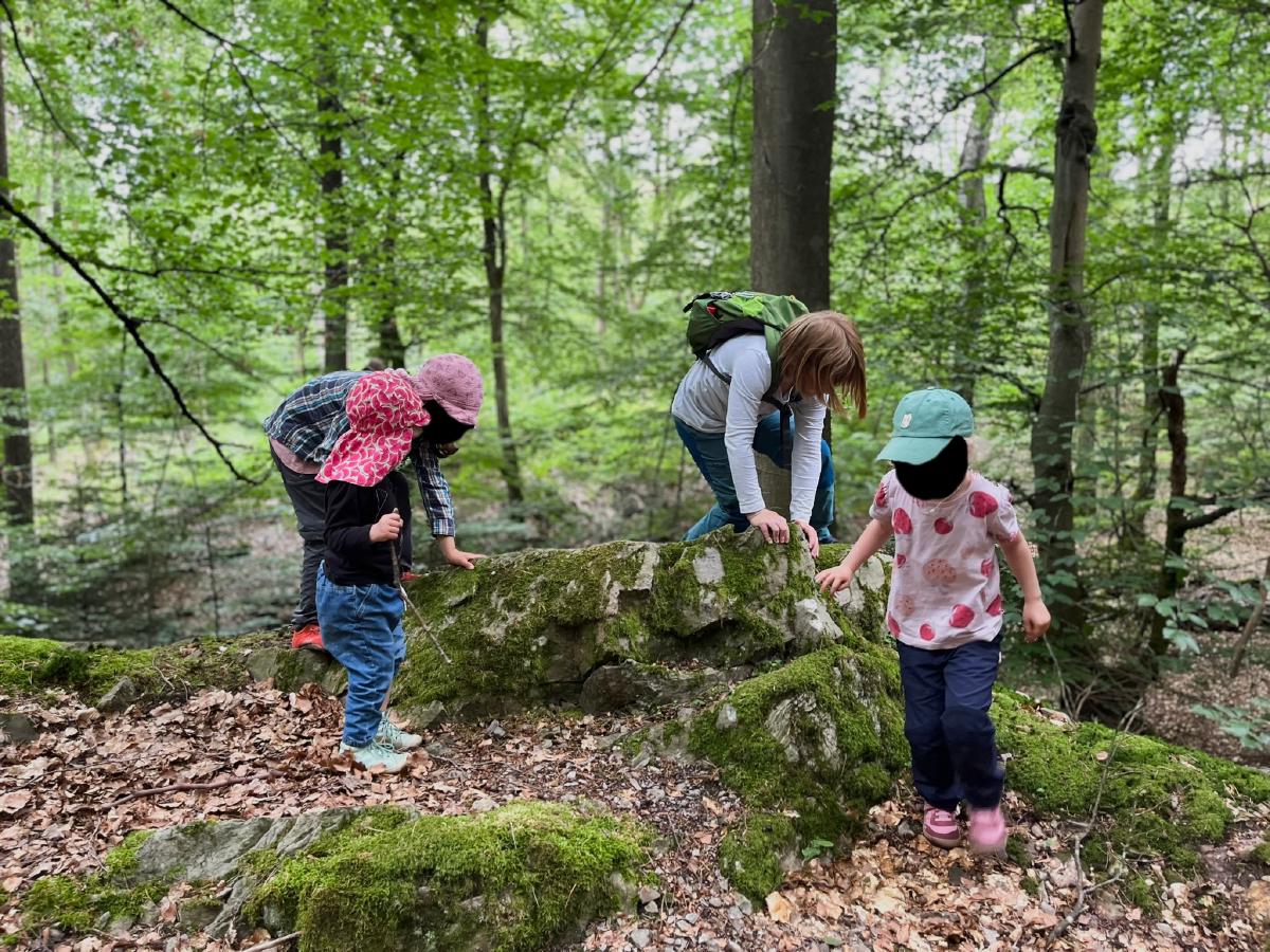 Kinder klettern auf einen Baum