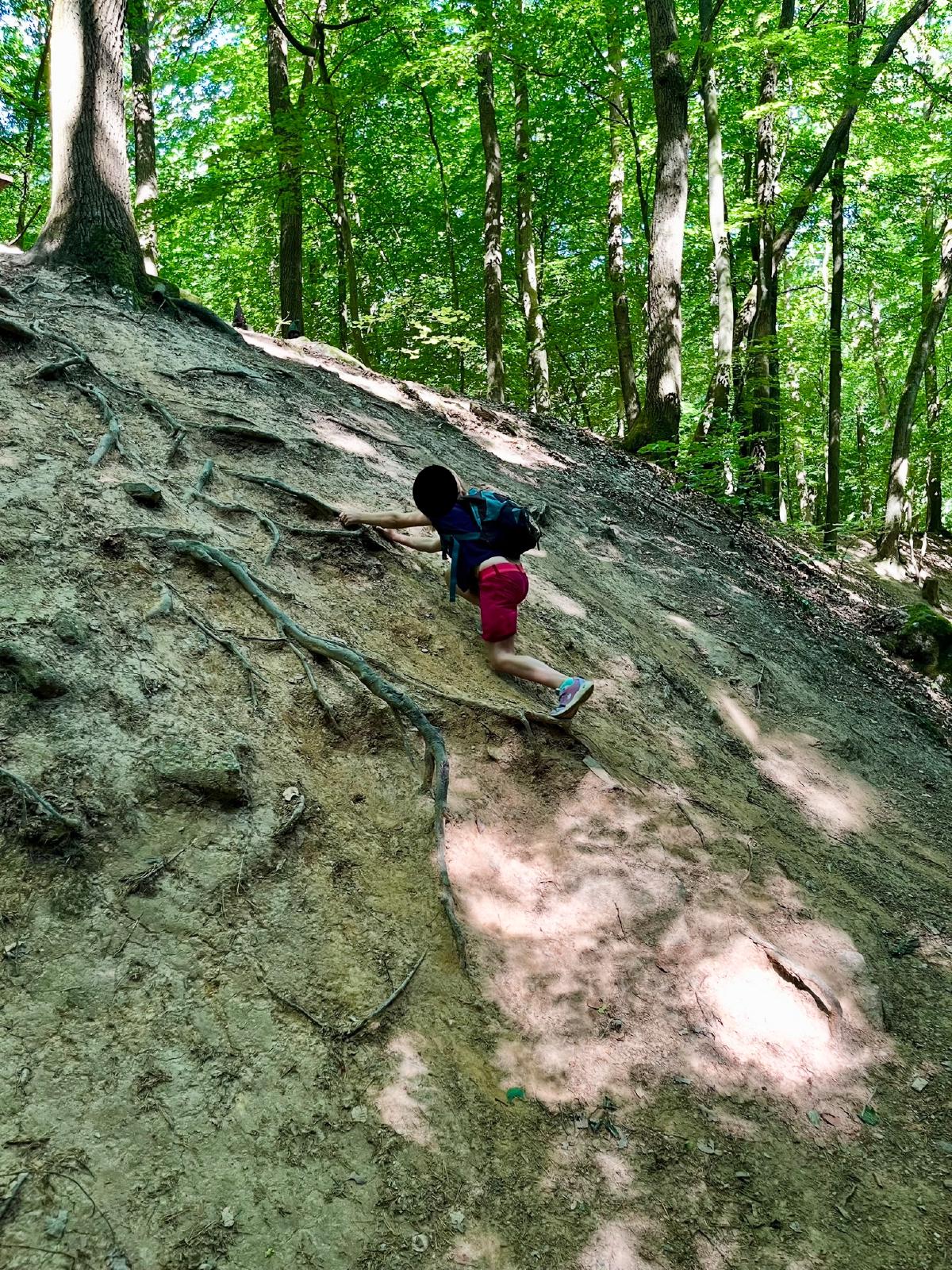Kind klettert auf einen Baum