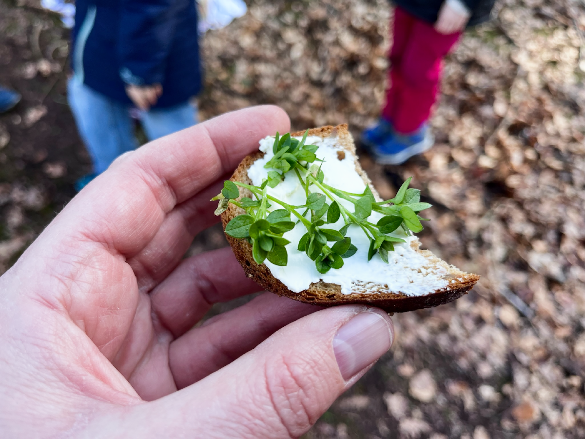 Kräuterbrot aus dem Wald
